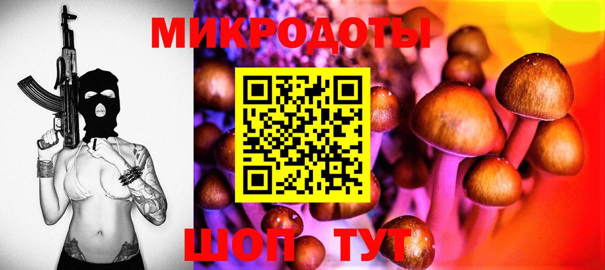 Галлюциногенные грибы Psilocybine cubensis  Псилоцибиновые грибы Cubensis  Пушкино  Вход с VPN 