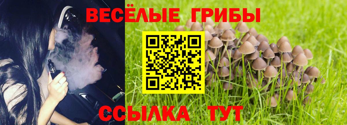 Галлюциногенные грибы Psilocybine cubensis Пушкино